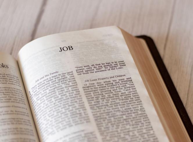 L’importanza di una guida esperta per superare le difficoltà