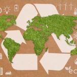 Corsi per la sostenibilità: formare i professionisti